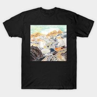 Kelp and Tafoni T-Shirt